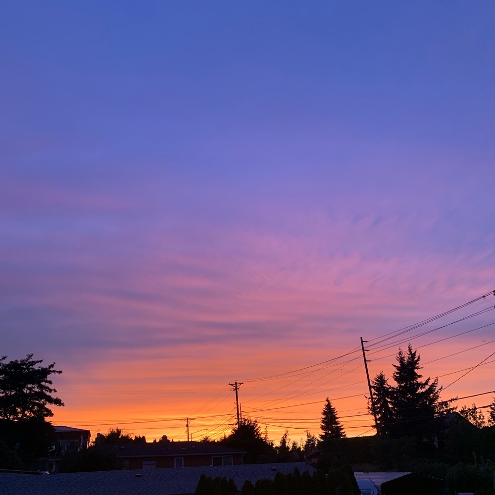 Meet your Posher, Tabitha